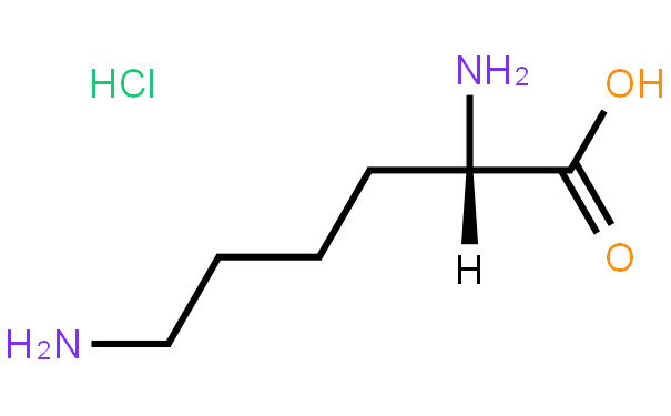 L-ه(li)}}